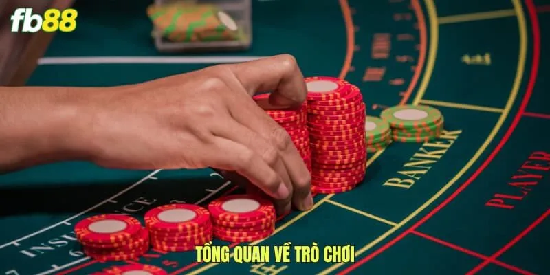 Tổng quan về trò chơi 